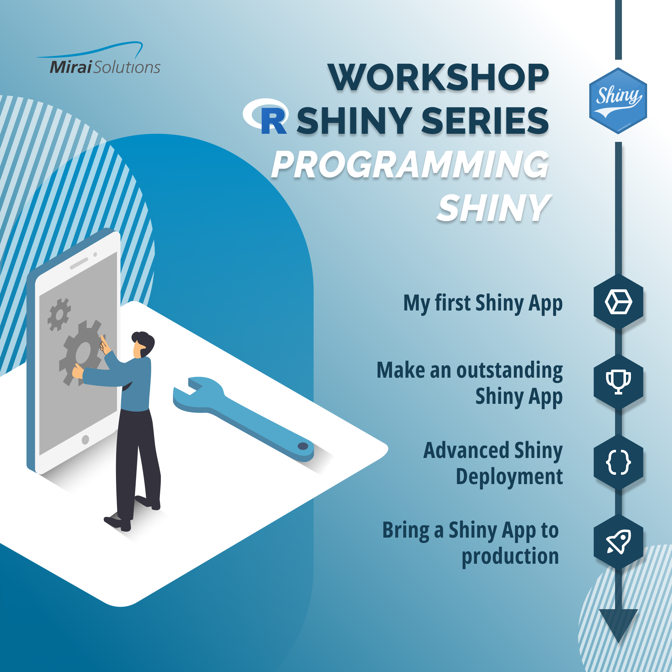 Full R Shiny path workshop offer