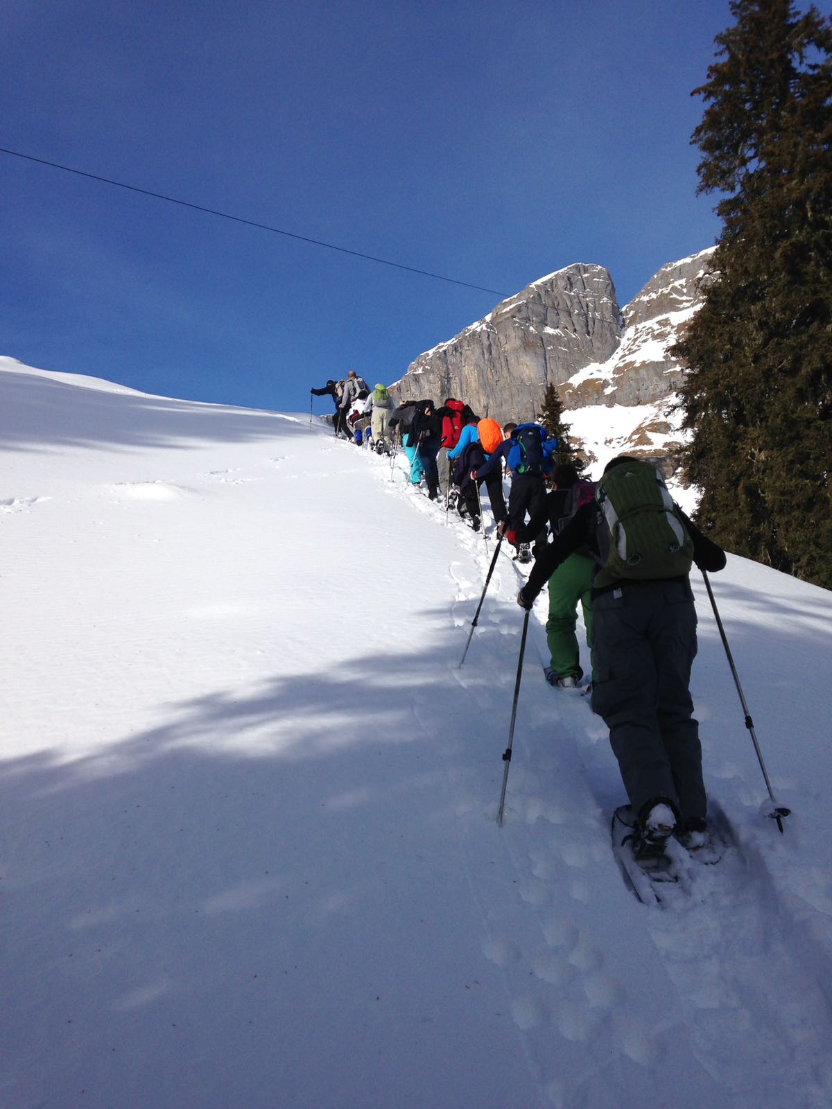 Snowshoeing