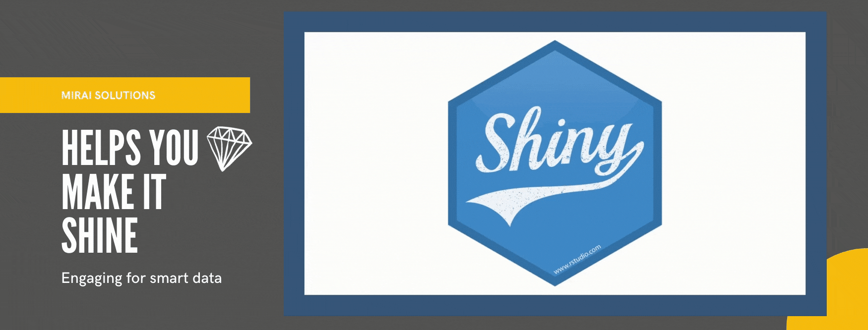 Sparkling Shiny App workshop animated GIF