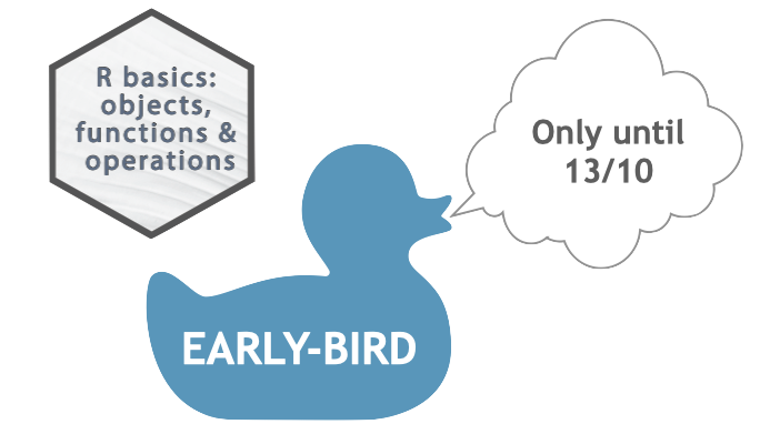 Early-bird for workshop "R basics - objects, functions and operations"