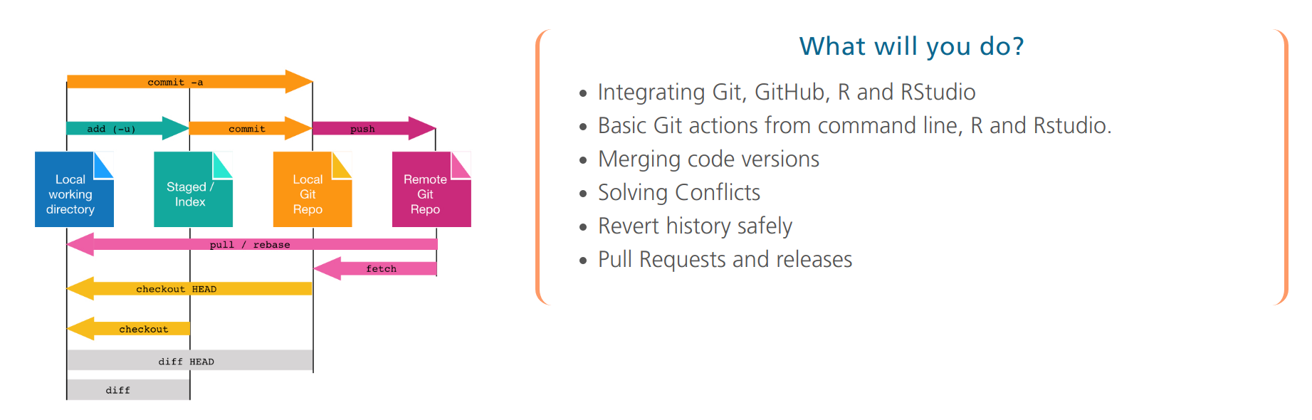 Mirai upcoming workshop Git & GitHub (for the R User)
