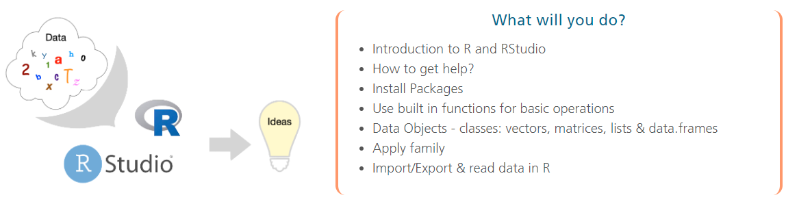 R basics - objects, functions and operations workshop