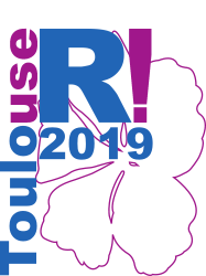 useR! 2019 Toulouse