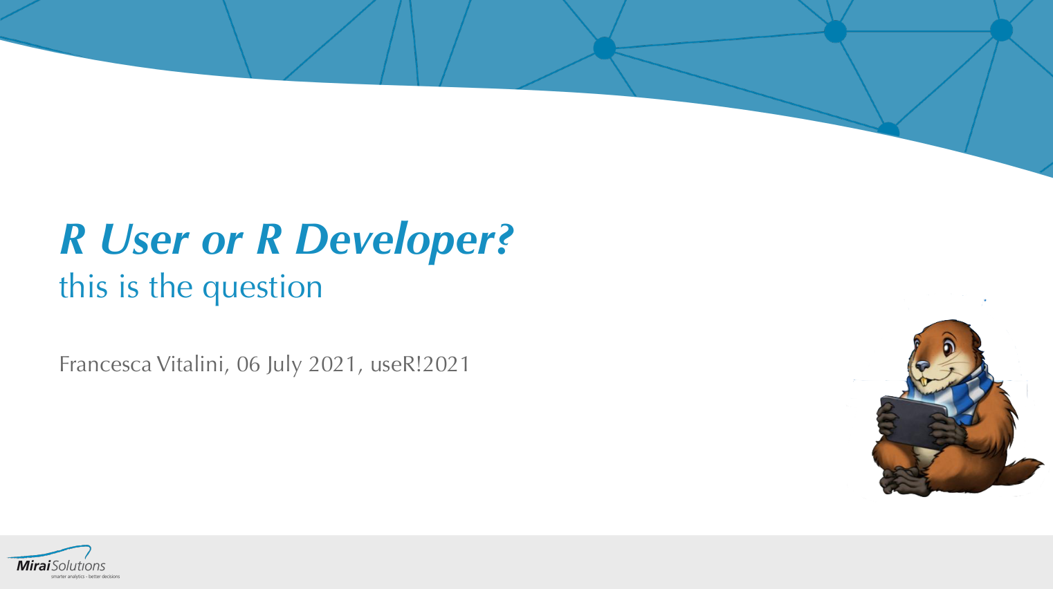 R User or R Developer? This is the question