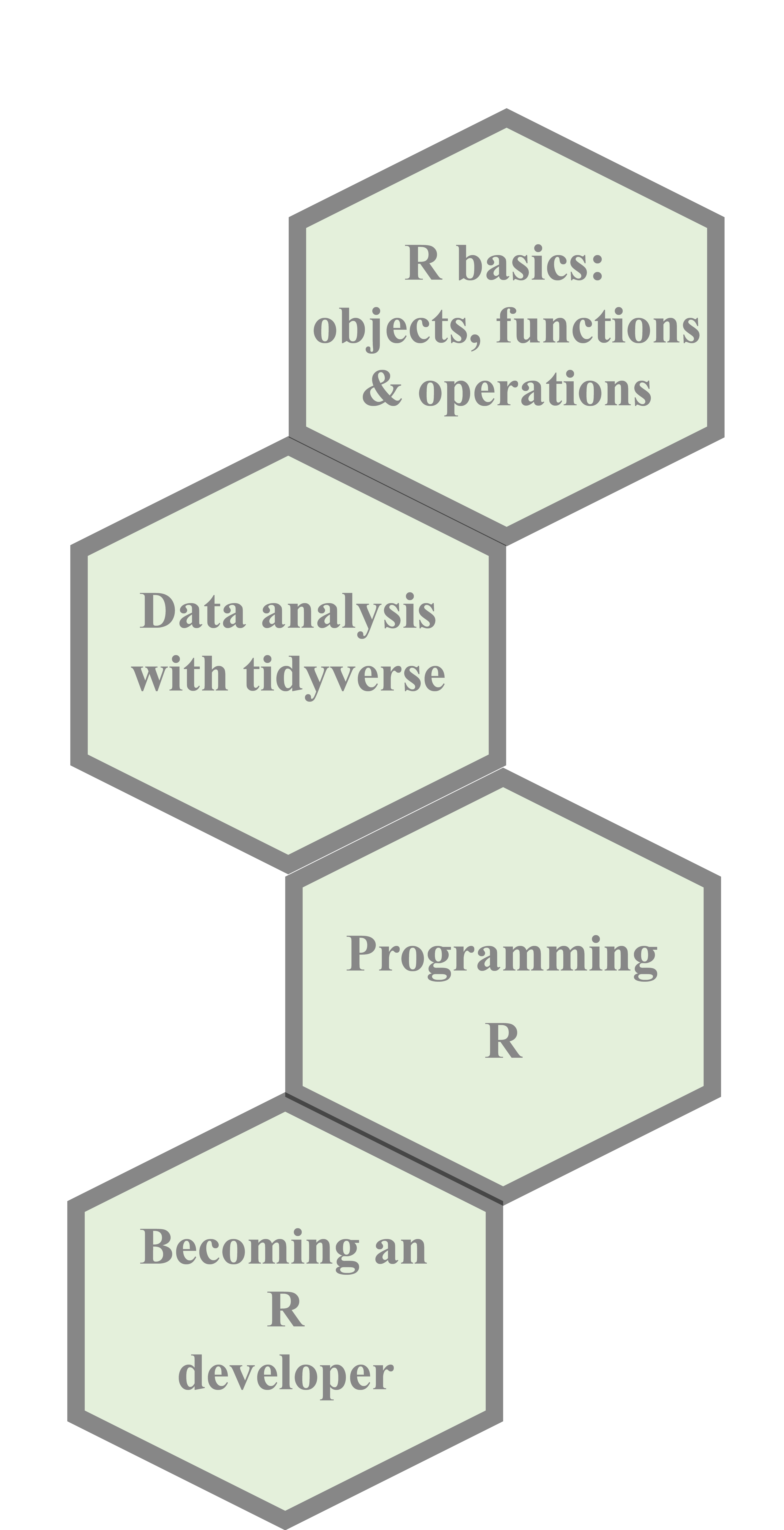 Introduction to R learning path from the basis of the syntax to professional development