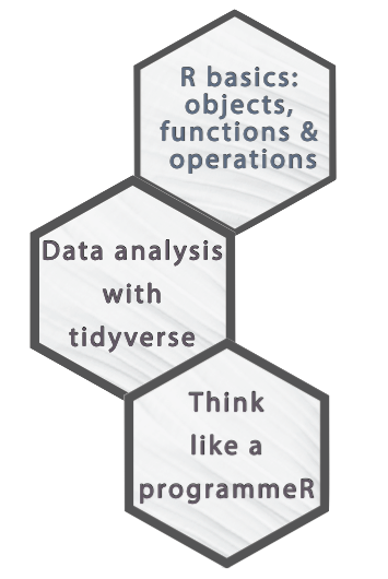 Introduction to R learning path from the basis of the syntax to professional programming