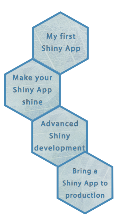 Full Shiny path workshop offer