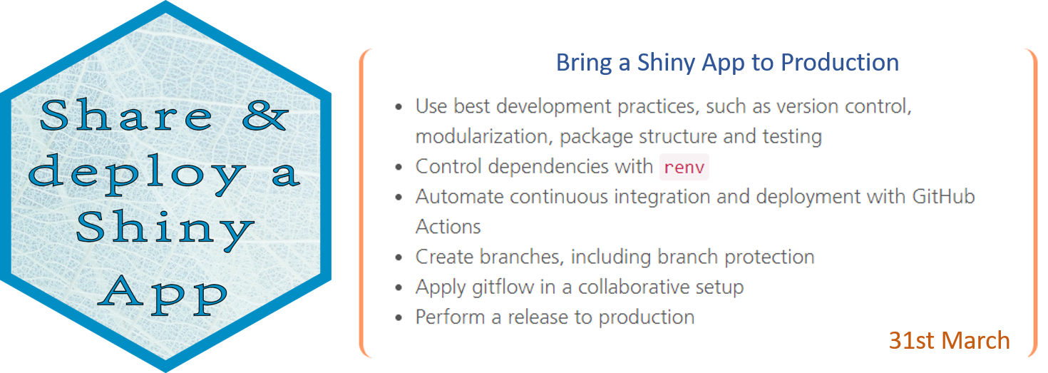 Mirai advanced shiny workshops